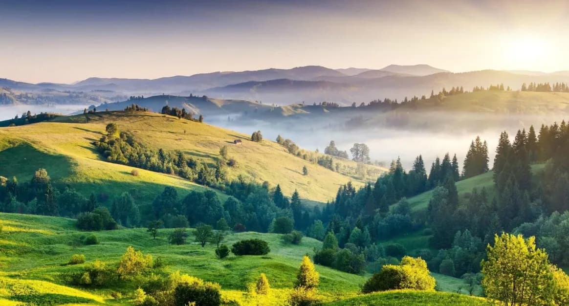 Летний Буковель: отдых на природе и активные виды спорта